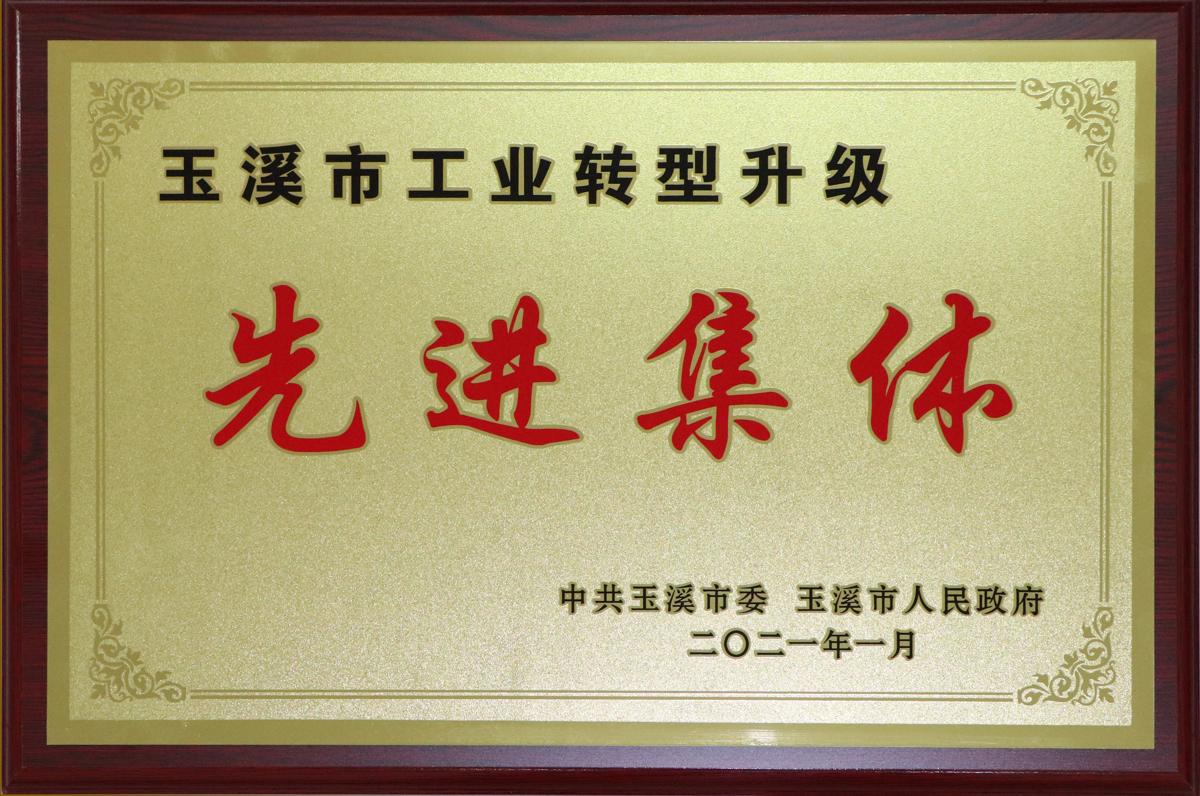 玉溪市工業(yè)轉(zhuǎn)型升級先進(jìn)集體